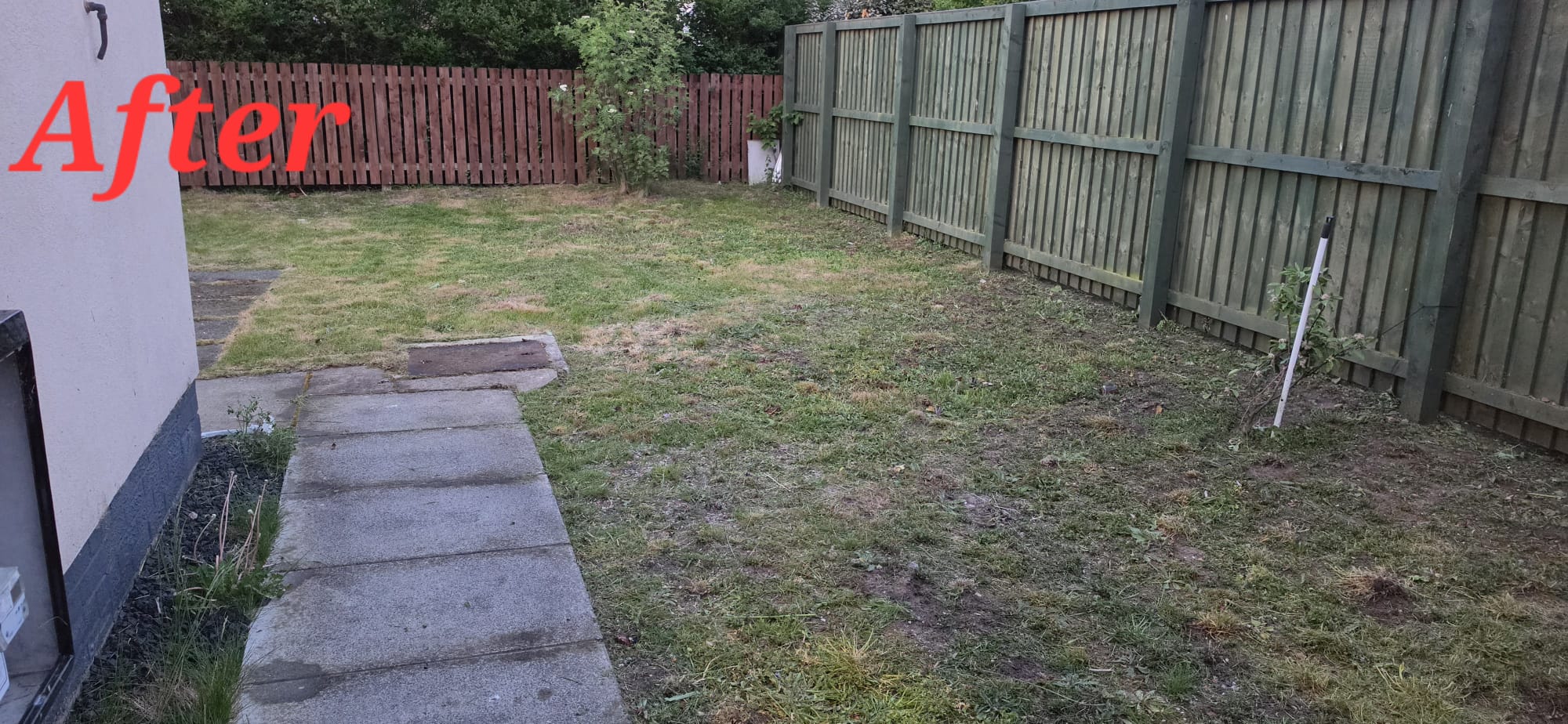 Before