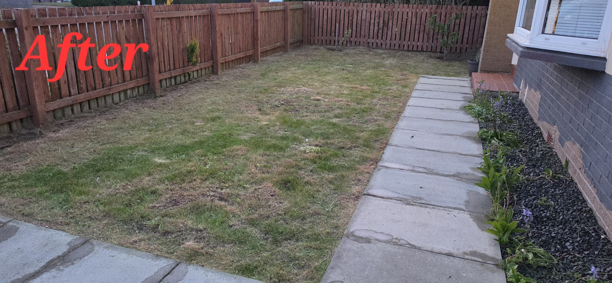 Before